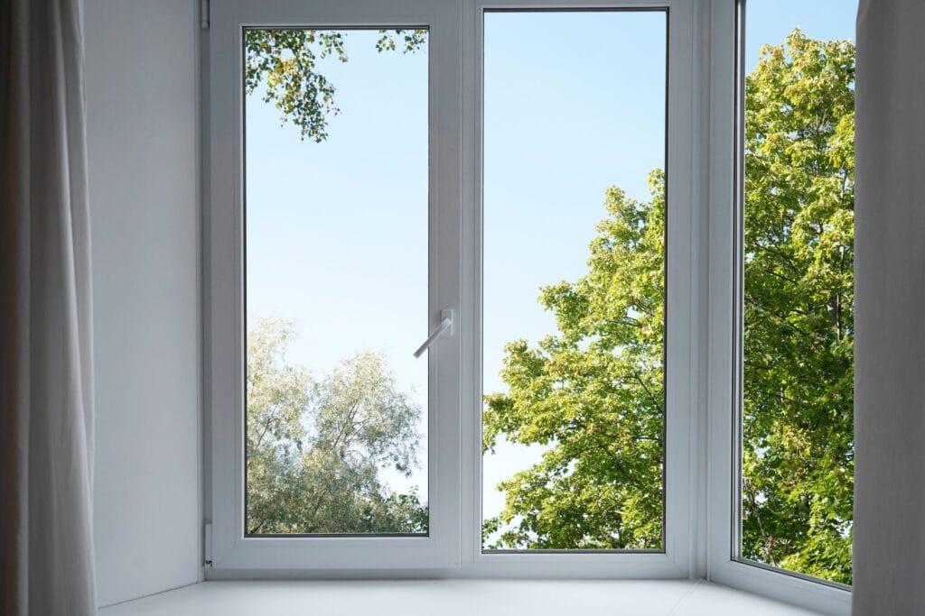 view,from,the,window,on,the,garden,green,trees.