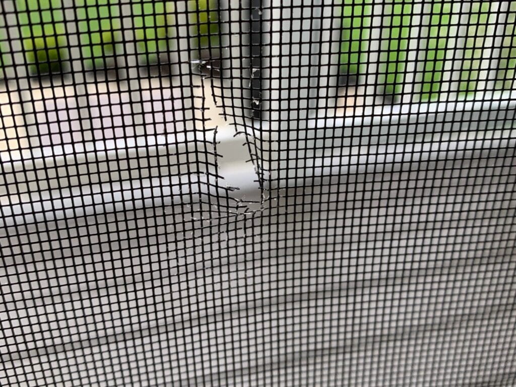 torn window screen repair the mesh or replace the frame